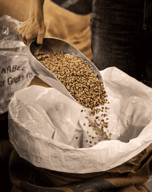 Green coffee in a sack